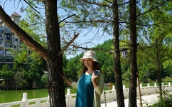 苟晶事件算反转吗